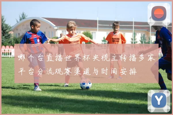 哪个台直播世界杯央视主转播多家平台分流观赛渠道与时间安排
