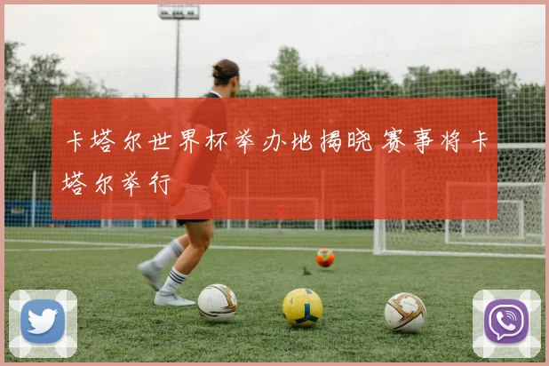 卡塔尔世界杯举办地揭晓 赛事将卡塔尔举行