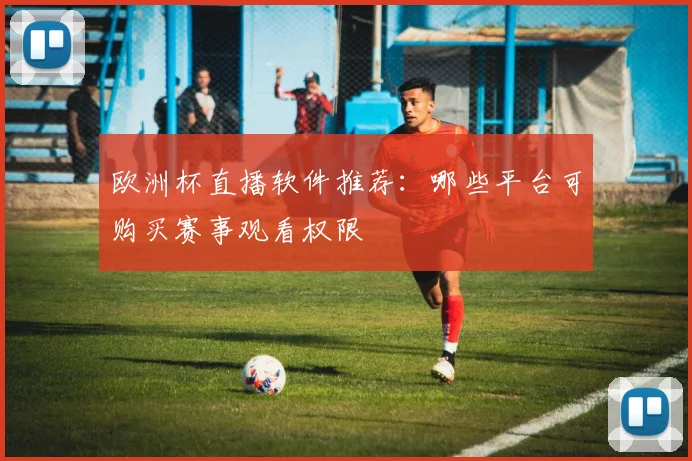 欧洲杯直播软件推荐:哪些平台可购买赛事观看权限