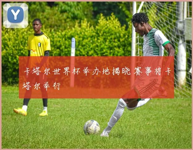 卡塔尔世界杯举办地揭晓 赛事将卡塔尔举行