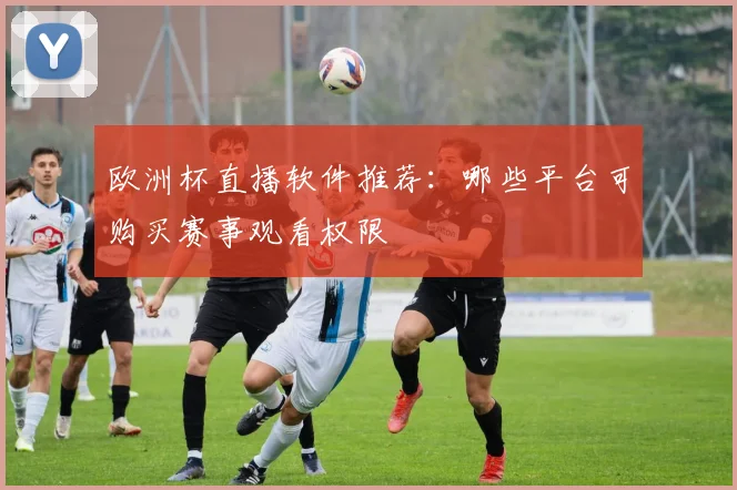 欧洲杯直播软件推荐:哪些平台可购买赛事观看权限