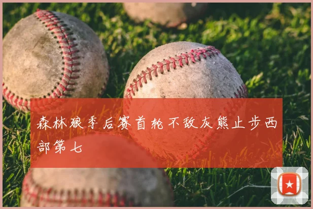 森林狼季后赛首轮不敌灰熊止步西部第七