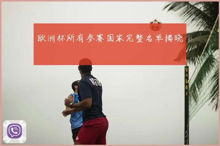 欧洲杯所有参赛国家完整名单揭晓
