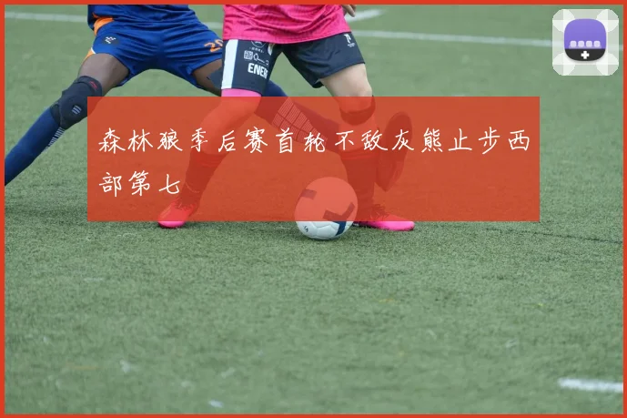 森林狼季后赛首轮不敌灰熊止步西部第七